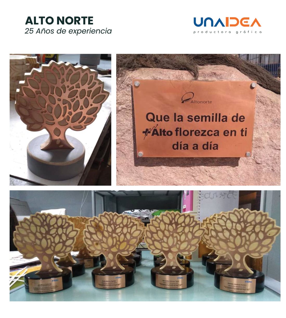 Altonorte / Glencore