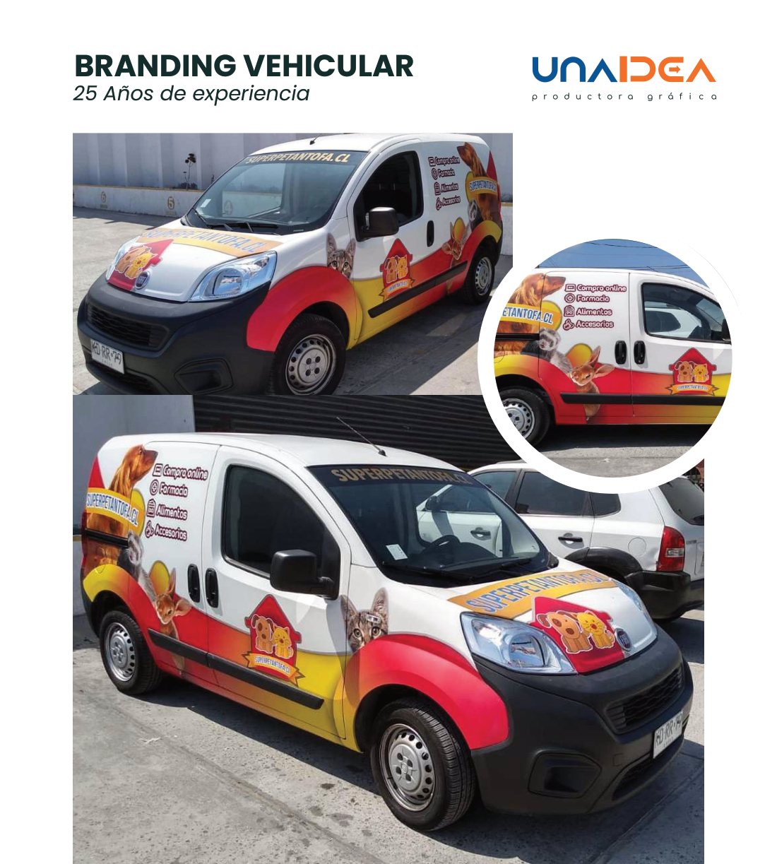 Branding mascotas